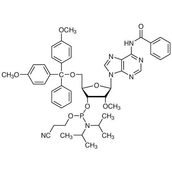 2&prime;-OMe-A(Bz) Phosphoramidite CAS 110782-31-5 Purity &ge;99.0% (HPLC) RNA Phosphoramidites