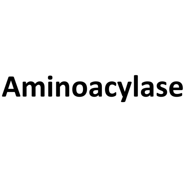 Aminoacylase CAS 9012-37-7 Enzymatic Activity &ge;30000u/g Factory