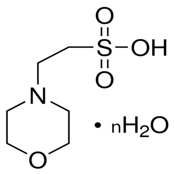 MES Hydrate CAS 1266615-59-1 Purity >99.0% (Titration) Biological Buffer Ultra Pure Grade Factory