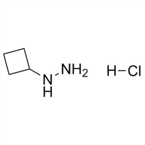1-Cyclobutylhydrazine Hydrochloride CAS 158001-21-9 Purity >97.0% (HPLC)