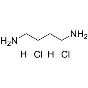 1,4-Diaminobutane Dihydrochloride CAS 333-93-7 Putrescine Dihydrochloride Purity >99.0% (HPLC)