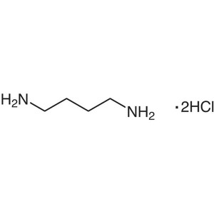 1,4-Diaminobutane Dihydrochloride CAS 333-93-7 Putrescine Dihydrochloride Purity >99.0% (HPLC)