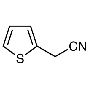 2-Thiopheneacetonitrile CAS 20893-30-5 Purity >98.0% (GC) Factory Hot Sale