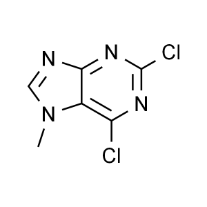 2,6-Dichloro-7-Methylpurine CAS 2273-93-0 Assay ≥98.0% Factory