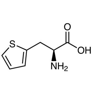 3-(2-Thienyl)-L-Alanine CAS 22951-96-8 (H-Thi-OH) Purity >98.0% (HPLC)