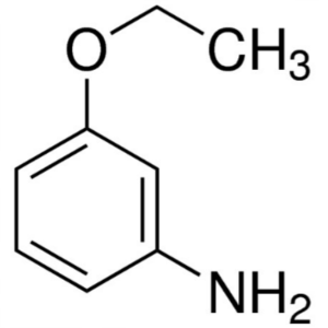 3-Ethoxyaniline (m-Phenetidine) CAS 621-33-0 Purity >98.0% (GC)