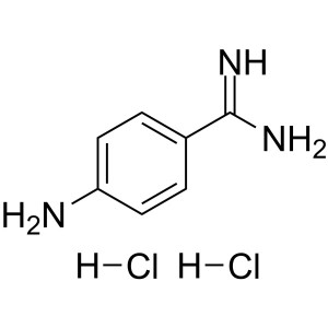 4-Aminobenzamidine Dihydrochloride CAS 2498-50-2 Purity >98.0% (HPLC)