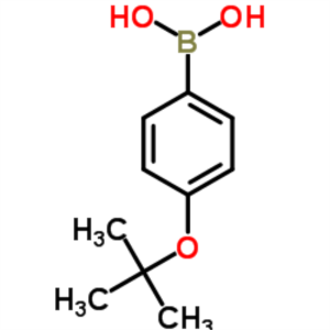 4-(tert-Butoxy)phenylboronic Acid CAS 176672-49-4 Purity >99.5% (HPLC) Factory High Quality