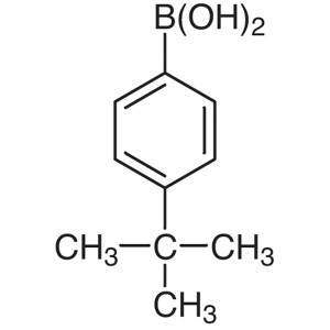 4-tert-Butylphenylboronic Acid CAS 123324-71-0 Purity >99.5% (HPLC) Factory High Quality