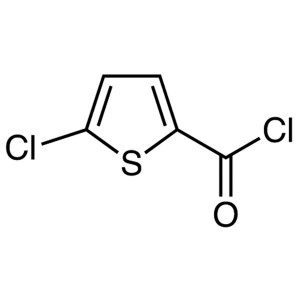 5-Chlorothiophene-2-Carbonyl Chloride CAS 42518-98-9 Purity >99.5% (GC) Rivaroxaban Intermediate Factory