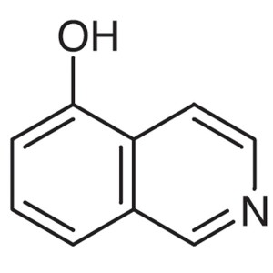 5-Hydroxyisoquinoline CAS 2439-04-5 Purity >96.0% (GC)(T)