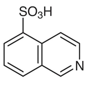 5-Isoquinolinesulfonic Acid CAS 27655-40-9 Purity >99.0% (HPLC)