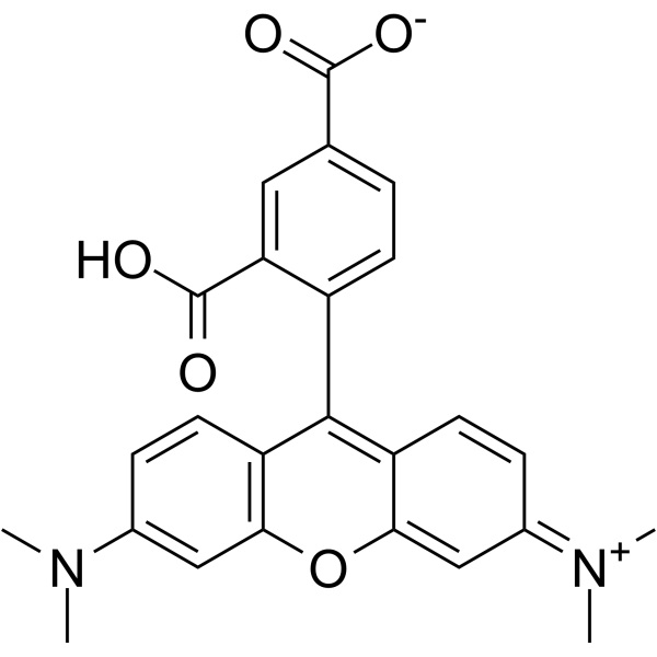 18 Years Factory 3-Methoxyphenethylamine - 5-TAMRA CAS 91809-66-4 Purity >97.0% (HPLC at 254nm) – Ruifu