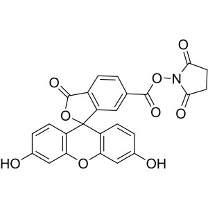 6-FAM SE CAS 92557-81-8 Purity >90.0% (HPLC) Fluorescent Reagent