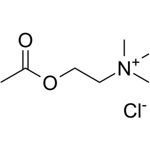 Acetylcholine Chloride CAS 60-31-1 Assay 98.0~102.0%