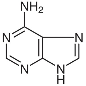 Adenine CAS 73-24-5 Assay 98.0%~102.0% (Titration) High Purity Factory