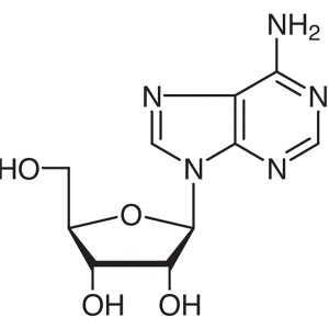 Adenosine CAS 58-61-7 Assay 99.0%-101.0% USP Standard Factory High Purity