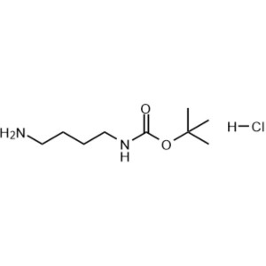 Boc-1,4-Diaminobutane Hydrochloride CAS 33545-98-1 Purity >99.0% (Titration)