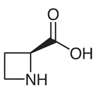L-Azetidine-2-Carboxylic Acid CAS 2133-34-8 Purity >98.0% (HPLC) Factory