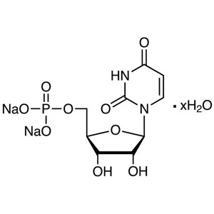 Uridine 5′-Monophosphate Disodium Salt Hydrate (5′-UMP 2Na Hydrate) CAS 3387-36-8 Assay ≥98.0%