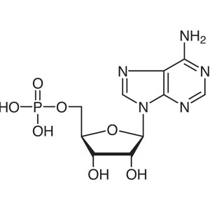 Adenosine 5′-Monophosphate (5′-AMP) CAS 61-19-8 Purity ≥98.0% Factory High Purity