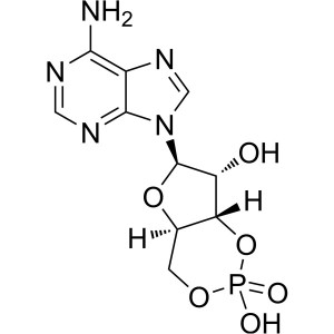 Adenosine 3′,5′-Cyclic Monophosphate (Cyclic AMP; cAMP) CAS 60-92-4 Assay 97.0%~103.0% (HPLC)