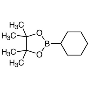Cyclohexylboronic Acid Pinacol Ester CAS 87100-15-0 Purity >98.0% (GC) Factory High Quality
