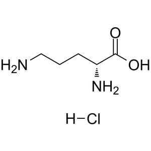 D-Ornithine Monohydrochloride CAS 16682-12-5 Assay 98.5~101.0% Factory