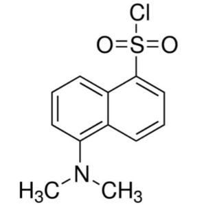 Dansyl Chloride (DNSCl) CAS 605-65-2 Purity >98.0% (HPLC)