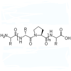 Fish Collagen Peptide CAS 9064-67-9 Protein ≥95.0%