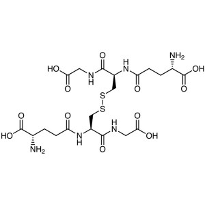 L-Glutathione Oxidized CAS 27025-41-8 Assay >98.0% (HPLC) Factory
