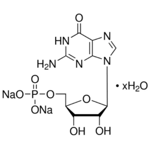 Guanosine 5′-Monophosphate Disodium Salt Hydrate CAS 5550-12-9 (5′-GMP-Na2) Assay 97.0~102.0% Factory