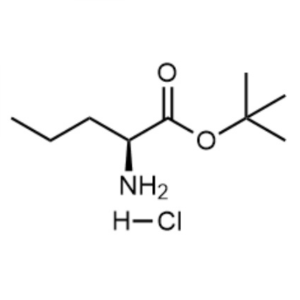 H-Nva-OtBu·HCl CAS 119483-47-5 Assay ≥98.0% (HPLC)