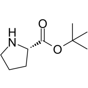 H-Pro-OtBu CAS 2812-46-6 L-Proline tert-Butyl Ester Purity >99.0% (HPLC) Factory