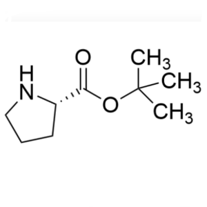H-Pro-OtBu CAS 2812-46-6 L-Proline tert-Butyl Ester Purity >99.0% (HPLC) Factory
