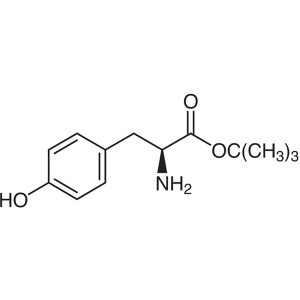 H-Tyr-OtBu CAS 16874-12-7 L-Tyrosine tert-Butyl Ester Purity >99.0% (HPLC) Factory