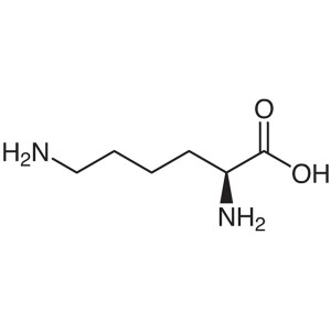 L-(+)-Lysine CAS 56-87-1 (H-Lys-OH) Assay 98.5~101.5% (Titration) Factory High Quality