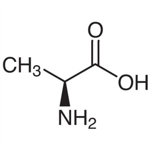 L-Alanine CAS 56-41-7 (H-Ala-OH) Purity 98.5%~101.0% AJI 97/USP/BP/FCC Standard
