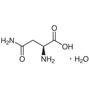 L-Asparagine Monohydrate CAS 5794-13-8 (H-Asn-OH·H2O) Assay 99.0~101.0% Factory High Quality