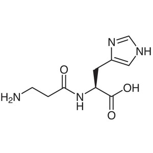 L-Carnosine CAS 305-84-0 (β-Alanyl-L-Histidine) Assay 99.0~101.0% Factory High Quality