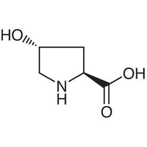 L-Hydroxyproline CAS 51-35-4 (H-Hyp-OH) Assay 98.5~101.0% Factory