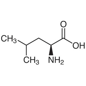 L-Leucine CAS 61-90-5 (H-Ile-OH) Assay 98.5~101.0% Factory High Quality