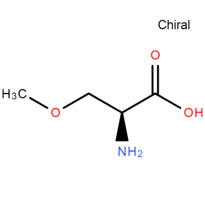 O-Methyl-L-Serine CAS 32620-11-4 Assay >98.0% (TLC)