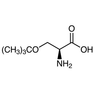 O-tert-Butyl-L-Serine CAS 18822-58-7 H-Ser(tBu)-OH Purity >99.0% (HPLC) Factory