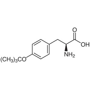 O-tert-Butyl-L-Tyrosine CAS 18822-59-8 H-Tyr(tBu)-OH Purity >98.0% (HPLC) Factory