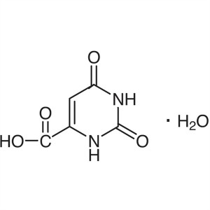 Orotic Acid Monohydrate CAS 50887-69-9 Purity >99.0% (HPLC)