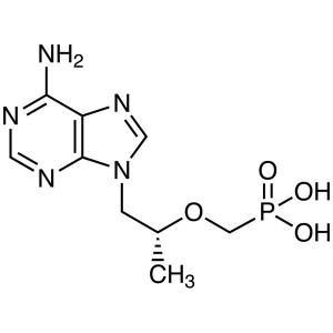 Tenofovir CAS 147127-20-6 Assay 98.0%~102.0% API Anti-HIV Factory