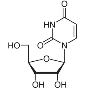 Uridine CAS 58-96-8 Purity ≥99.0% (HPLC) Content 98.0%-102.0% (UV) High Purity
