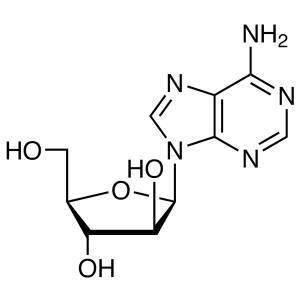 Vidarabine (Ara-A) CAS 5536-17-4 Purity≥99.0% (HPLC) Factory High Quality