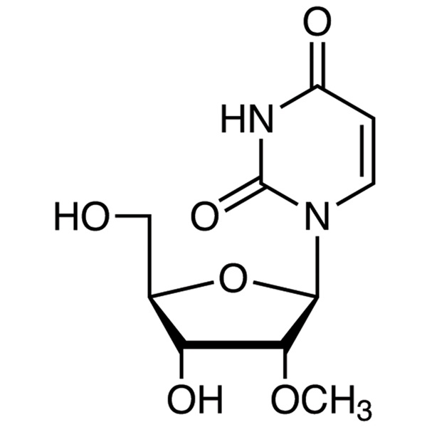 2'-O-Methyluridine CAS 2140-76-3 Purity ≥98.0% High Purity